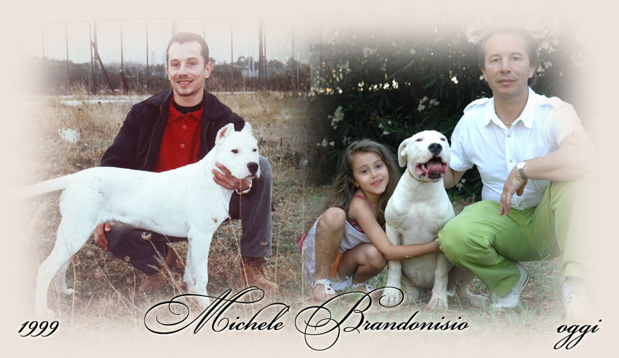 Dogo+argentino+breeders+in+virginia