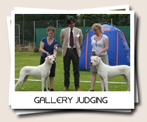 is the dogo argentino legal in lithuania